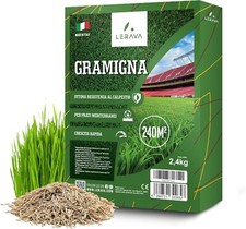  Semi Gramigna per Prato