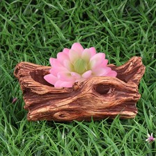  Fioriera succulenta fioriera