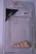 TURRITELLA SP. 10 M DEL PRADO