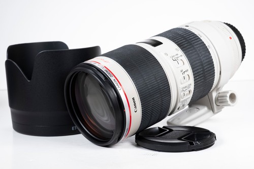 Canon 200mm 8 - f/2.8, is