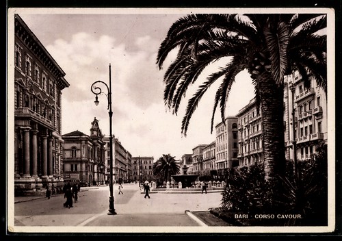 Bari corso cavour - cavour, palme