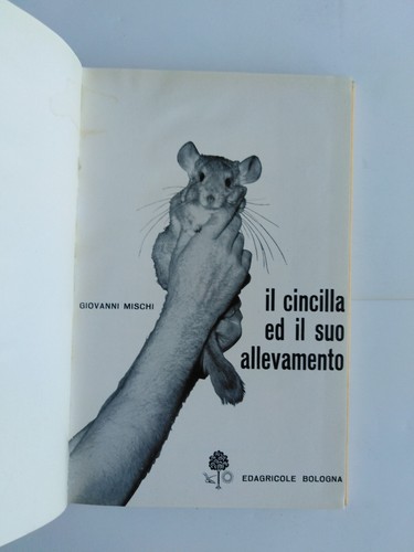 Mischi cincilla ed - mischi, il