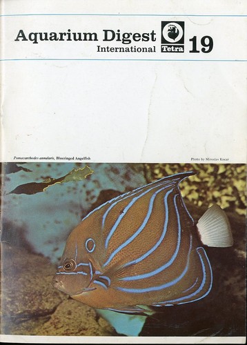 Tetra aquarium digest - aquarium,