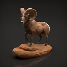 Big Horn Ram 3D Printed Resin