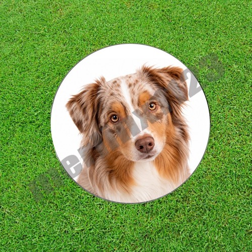 Pennarello palla golf - pennarello, da