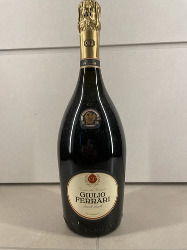 Giulio ferrari anno 2000 - ferrari,