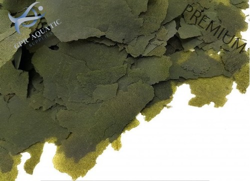 Spirulina forte flakes taglia - spirulina,