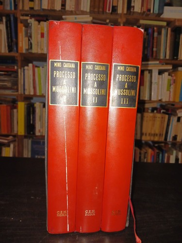 Mino caudana processo - caudana,