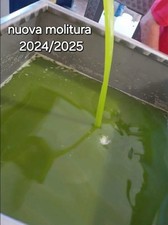 Olio Extravergine D'oliva   5 Litri siciliano nuova molitura   2025