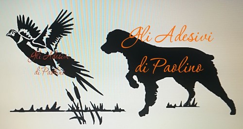 Adesivo breton spaniel - adesivo,