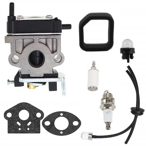 Carburatore per soffiatore