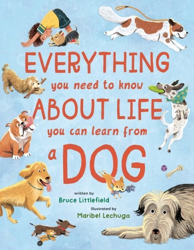 Everything you need know - everything,