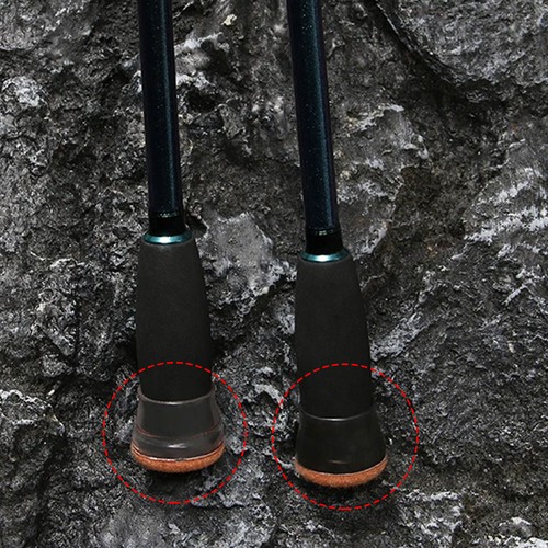 Canne pesca carpa tappo - da,