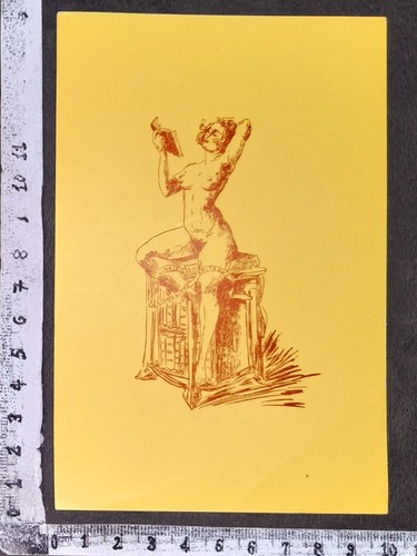 Wunderkammer exlibris 331 - pl,