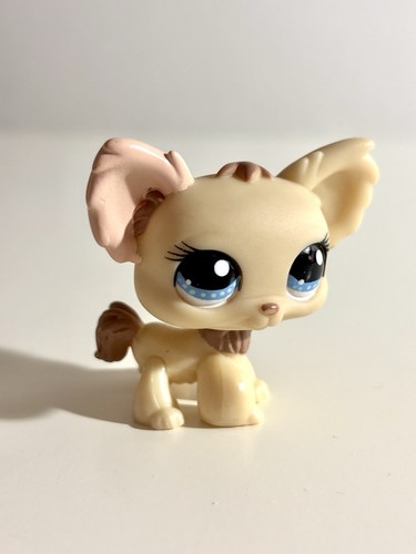 Chihuahua crema 1171 con occhi