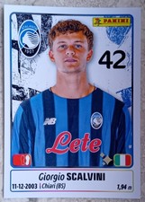 Figurina calciatori panini - figurina,