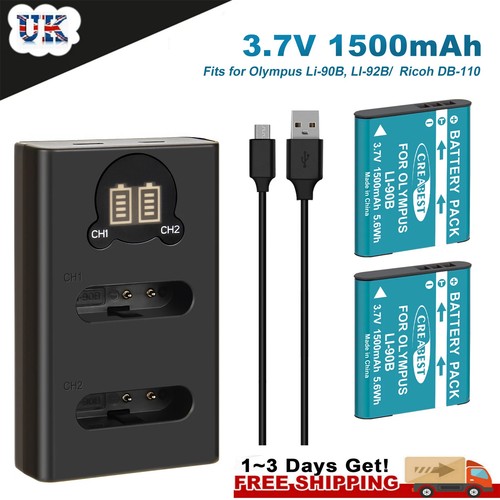 Batteria caricabatterie - 2x,