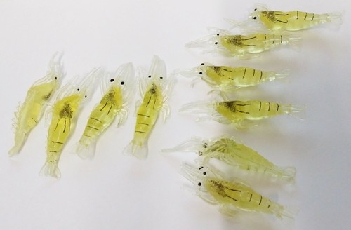 Esche pesca simulazione - da,