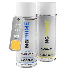 Kit di Vernice bomboletta