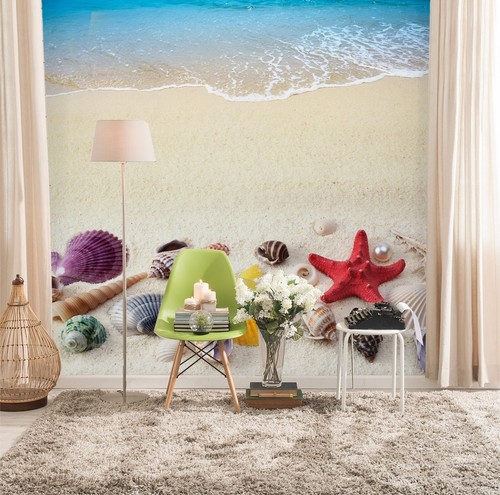 Beach starfish b4485 - beach,