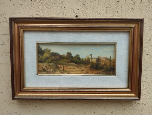 Quadro dipinto olio tela su - su,