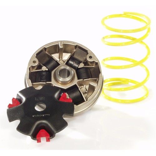 Variatore racing malossi - variatore,