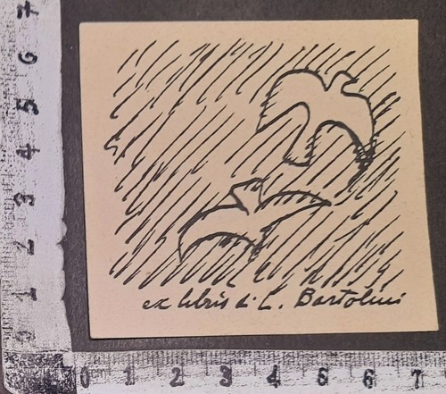 Wunderkammer exlibris 633 - wunderkammer,