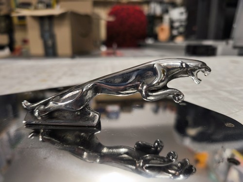 Jaguar car auto logo giaguaro - jaguar,
