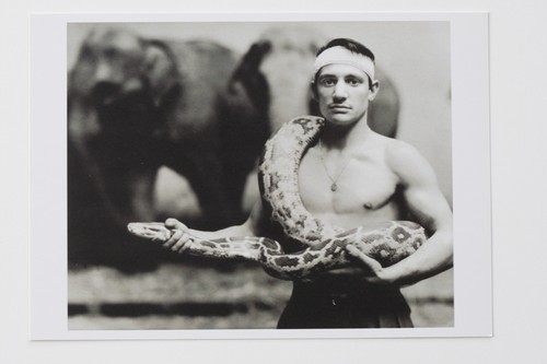 Richard avedon emilien - richard,