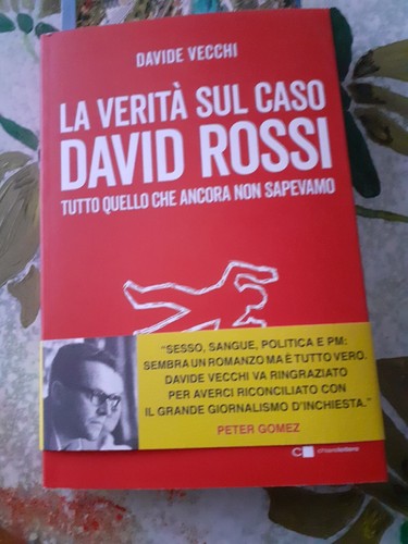 Verita sul caso david - sul,