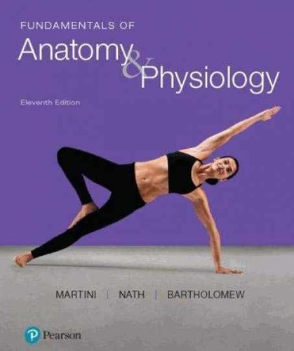 Fundamentals anatomy - anatomy, &