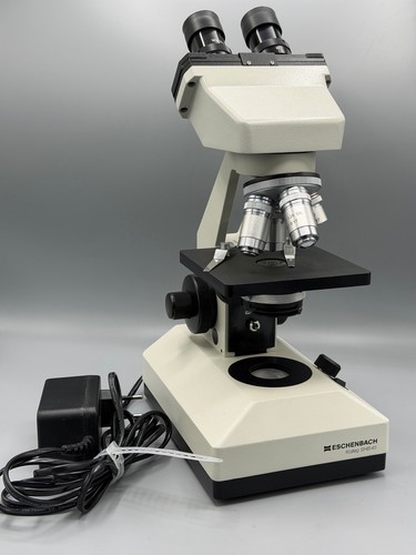 Microscopio binoculare