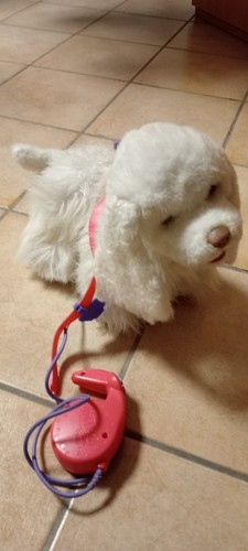 Gioco interattivo cagnolino - gioco,