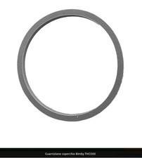 Guarnizione Coperchio Boccale