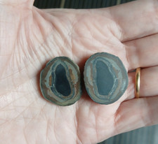 Septaria nodule poli 2,7 x 2,2 cm poids total 14,69 g /  Maroc