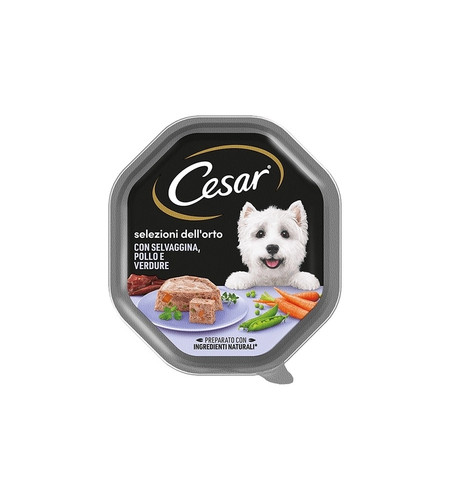 Alimento umido per cani - umido,