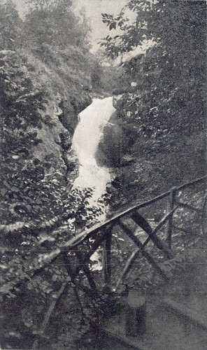 19-GIMEL-PARC