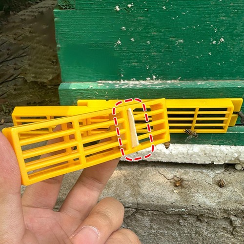 Spaccalegna automatico per