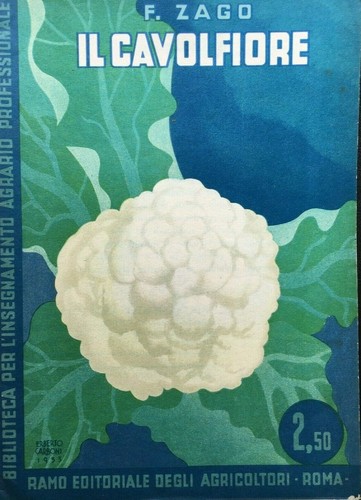 1939 zago il cavolfiore - il,