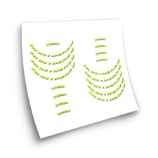 STAR SAM® ADESIVI CERCHI