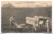 AYDP12-0996-64 - I Contadini