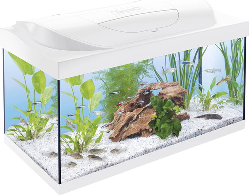 Acquario starter line l - 54,