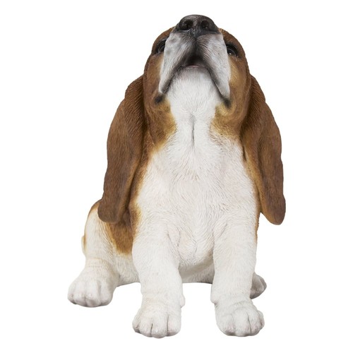 Basset hound cucciolo - basset, ululante