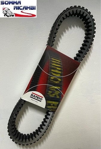 Cinghia trasmissione bando - di,