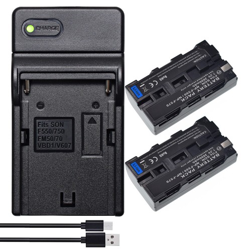 Batteria caricabatterie - 2x,
