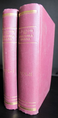 Anatomia umana vol 2 - anatomia,