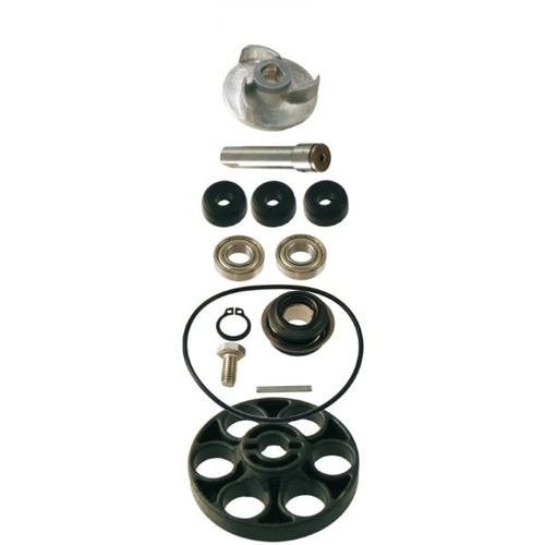 Kit revisione pompa acqua rms - revisione,