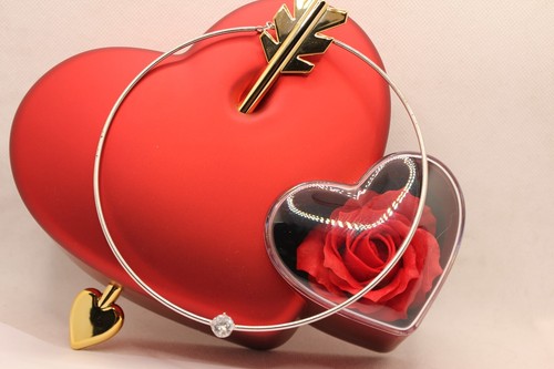 Collana rigida argento rodiato - collana,