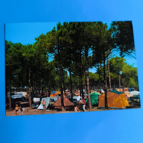 Camping lido degli estensi - ,