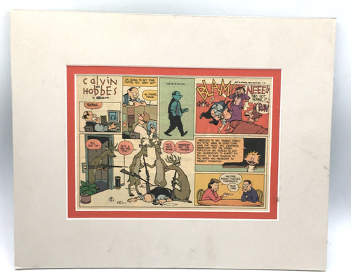 Calvin and hobbes fumetto - hobbes,